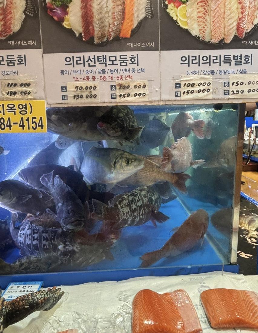 Live fish tanks under a price board at Noryangjin fish market in Seoul