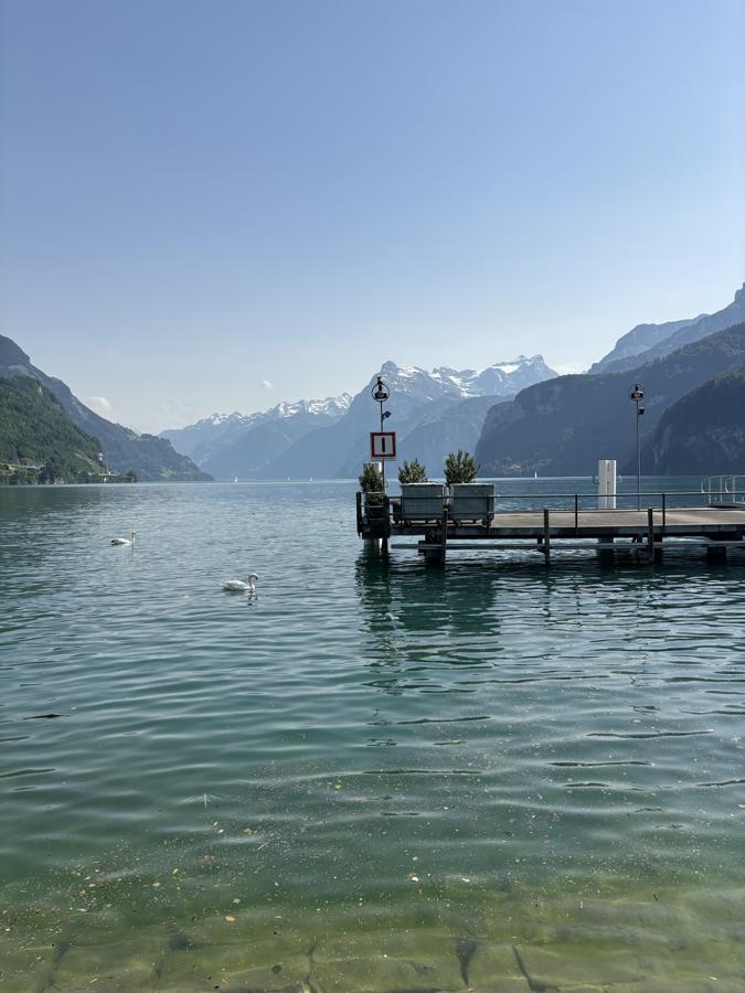 A calm Swiss lake with a pier, swans, and mountains