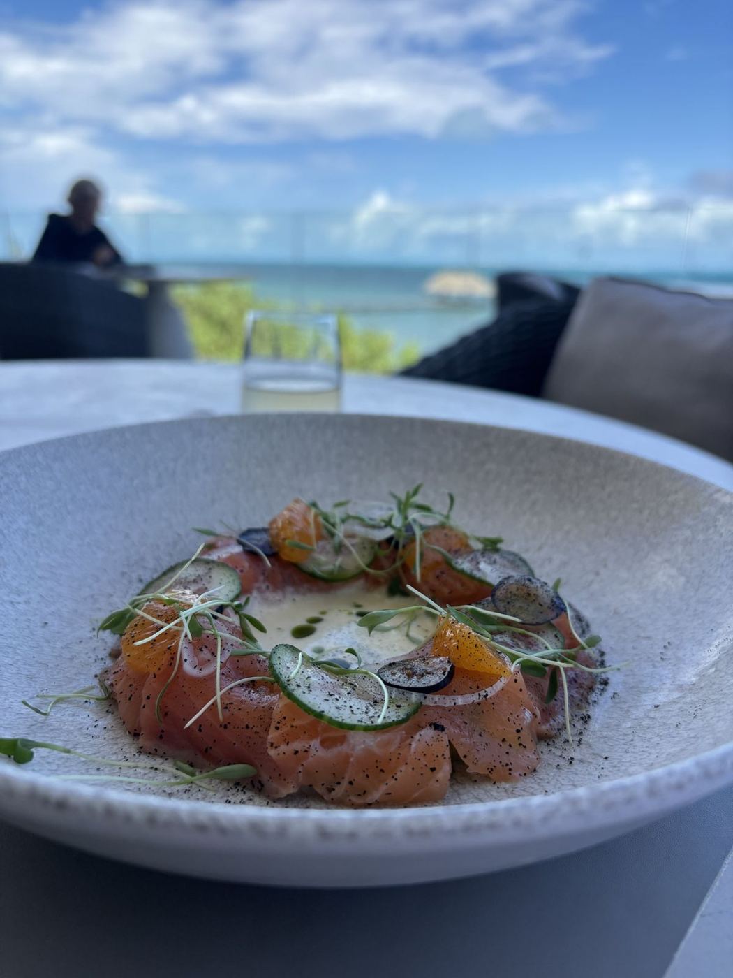 Salmon with a view of the water