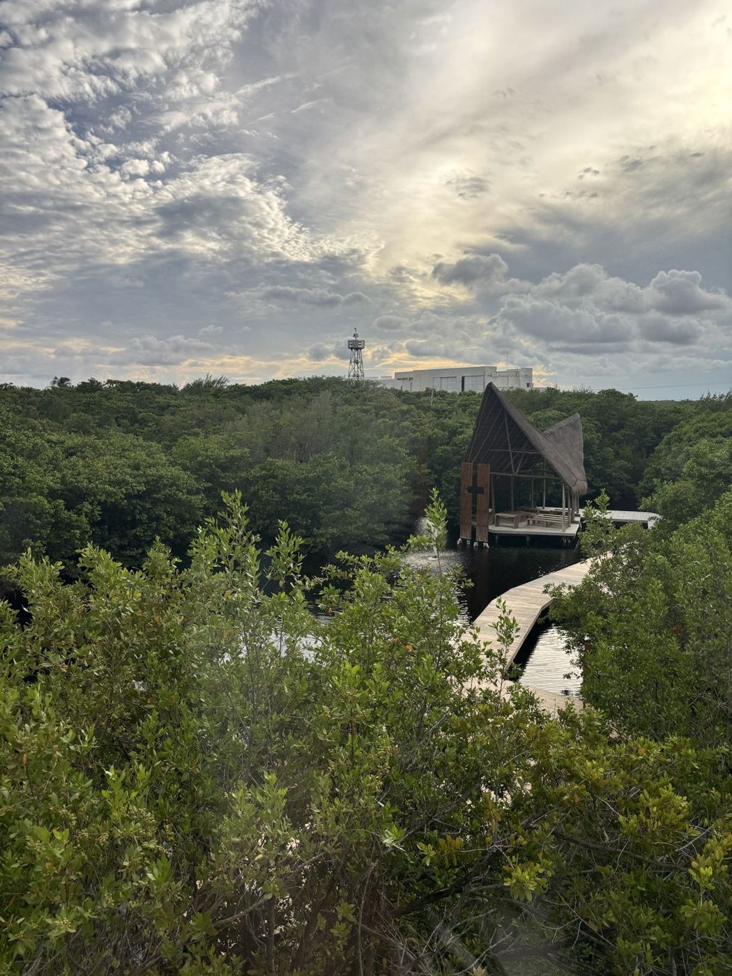A boardwalk through the mangroves behind the hotel